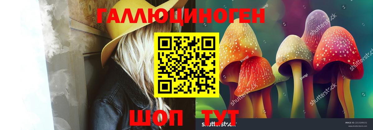 Галлюциногенные грибы Magic Shrooms  Галлюциногенные грибы Cubensis  Костомукша  Вход с VPN 